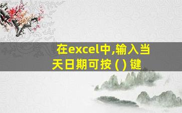 在excel中,输入当天日期可按 ( ) 键